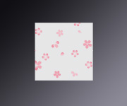 両面ラミ花ちらし さくら